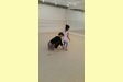 レッスン風景　杉並区高円寺のハナバレエスクール